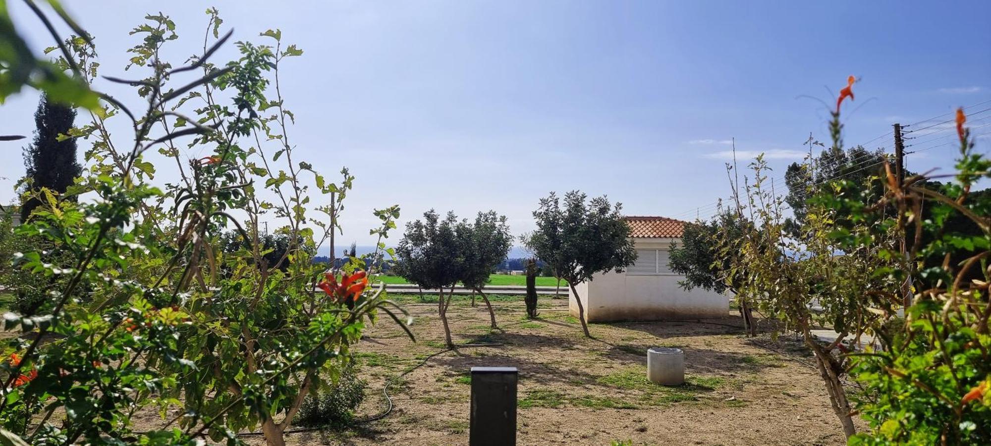 Shanti Paphos Villa Eksteriør bilde